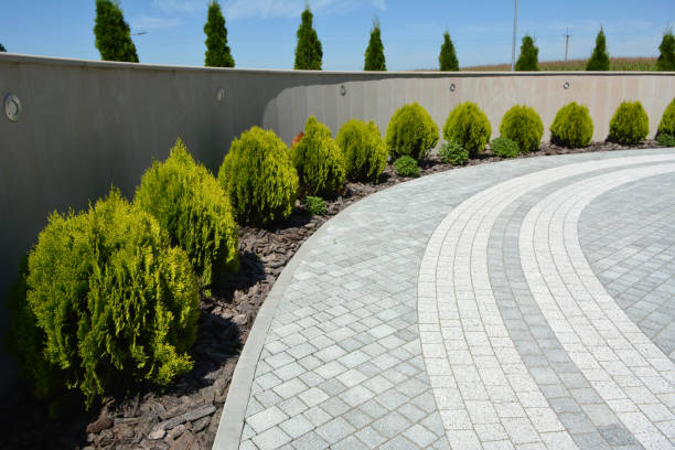 Best Driveway Paver Sealing  in Cayuga Heights, NY