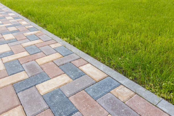 Best Custom Driveway Pavers  in Cayuga Heights, NY